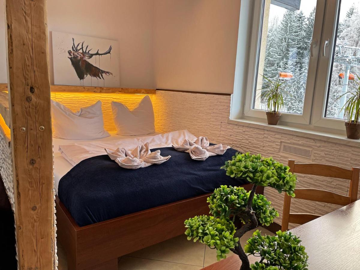 Safir Przy Samym Wyciagu Bed and Breakfast Karpacz Buitenkant foto