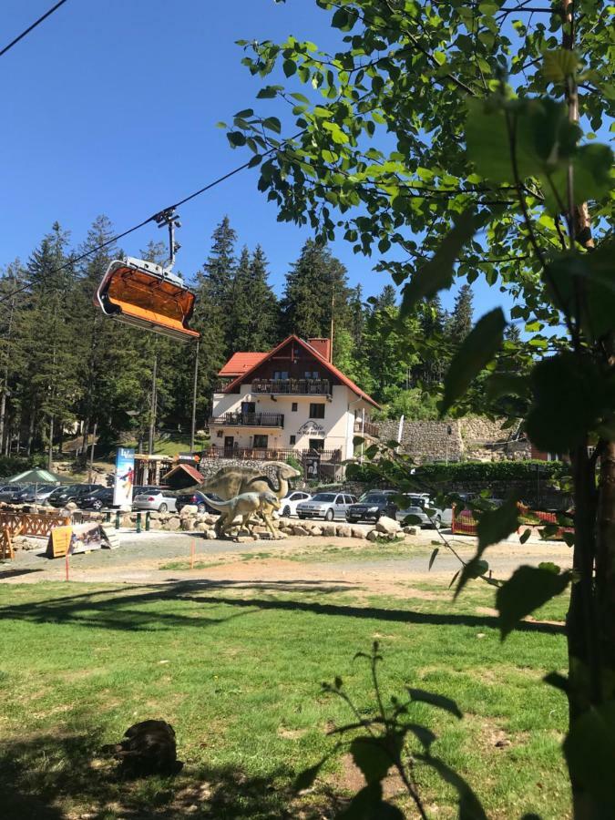 Safir Przy Samym Wyciagu Bed and Breakfast Karpacz Buitenkant foto
