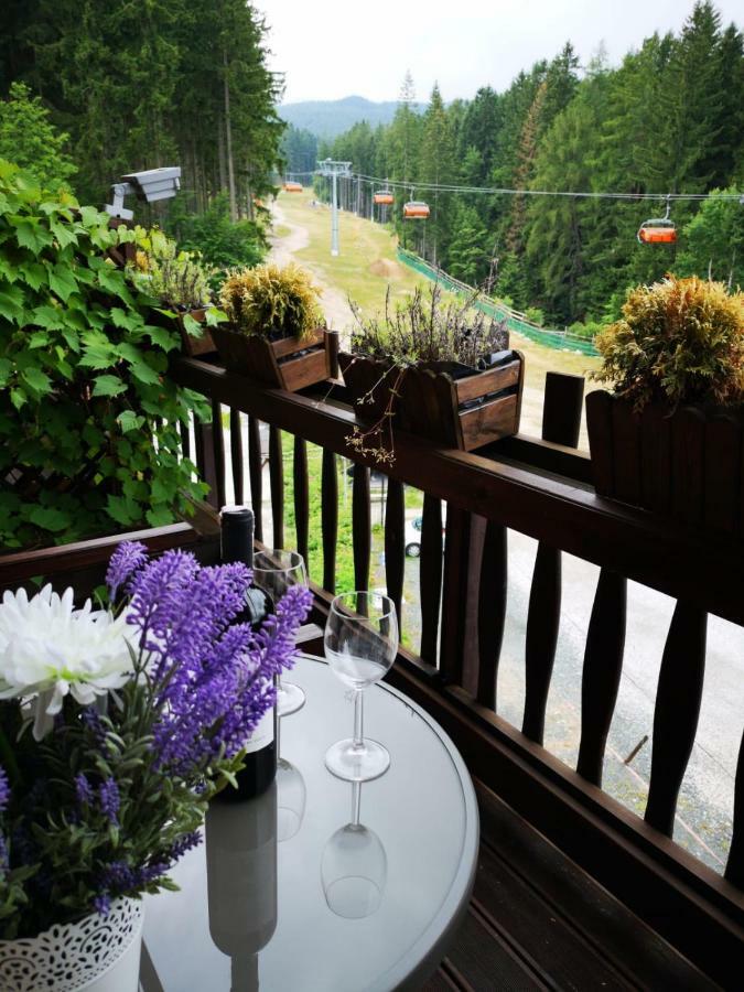 Safir Przy Samym Wyciagu Bed and Breakfast Karpacz Buitenkant foto