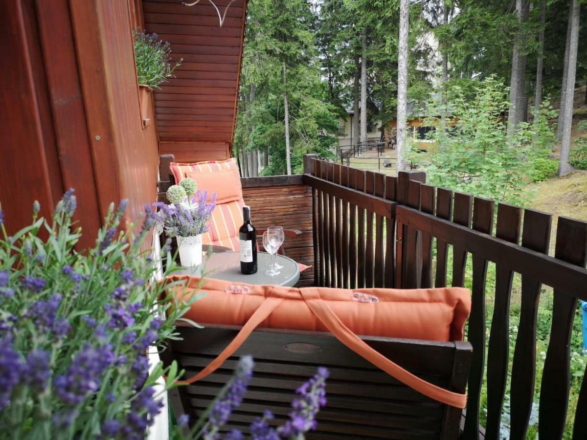 Safir Przy Samym Wyciagu Bed and Breakfast Karpacz Buitenkant foto