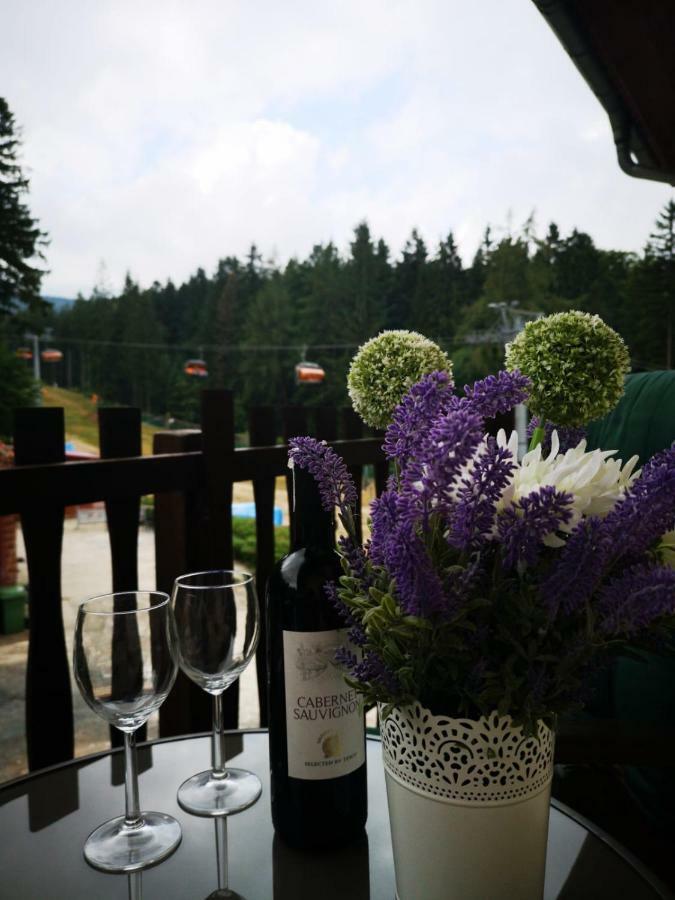 Safir Przy Samym Wyciagu Bed and Breakfast Karpacz Buitenkant foto